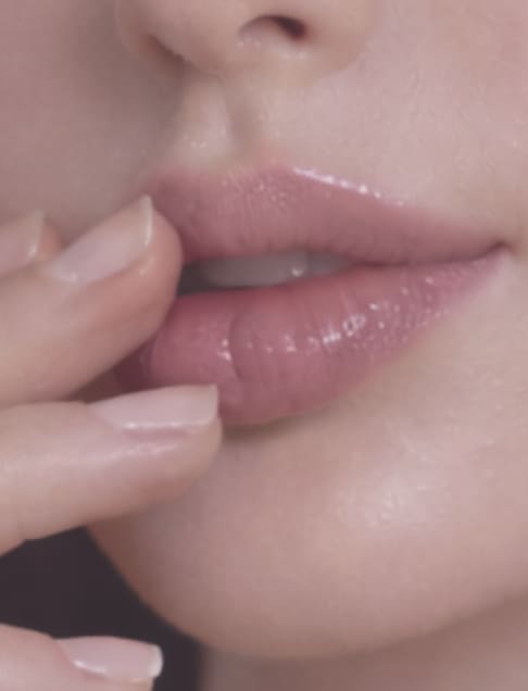 LIP FLIP