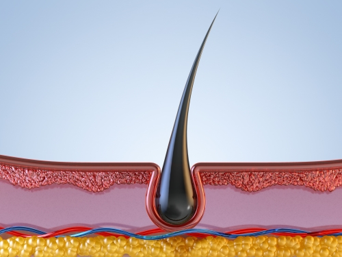 Healthier from the scalp as well as the hair for<BR>more lasting effects.