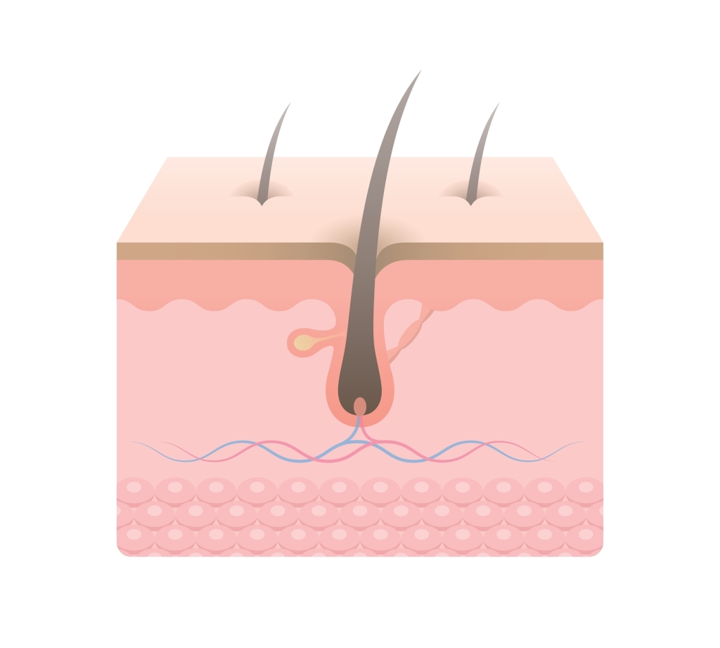 The condition of your hair affects how you look.