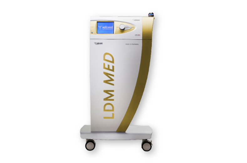 LDM